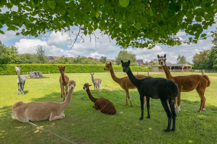 Foto 68 van Nijverheidsweg 5