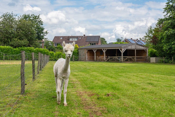 View photo 69 of Nijverheidsweg 5