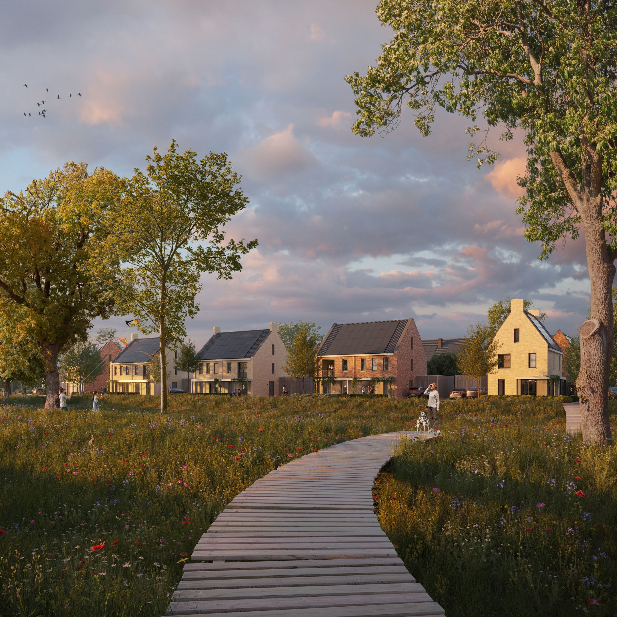 Foto van Heeze - Natuurrijk fase 2