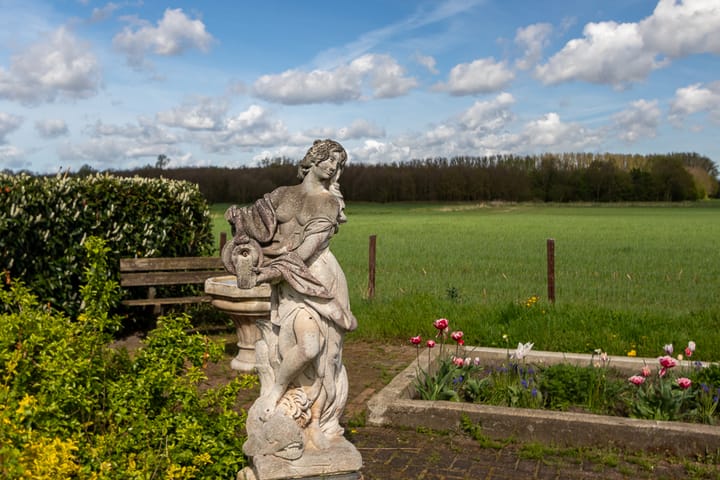 Foto 31 van Boekweitstraat 24