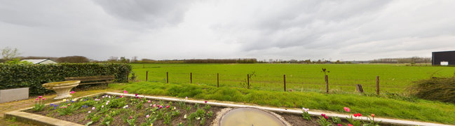 View 360° photo of Achtertuin of Boekweitstraat 24