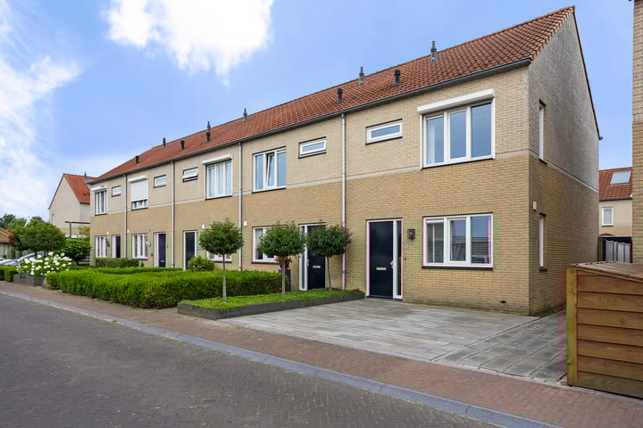 undefined main image
