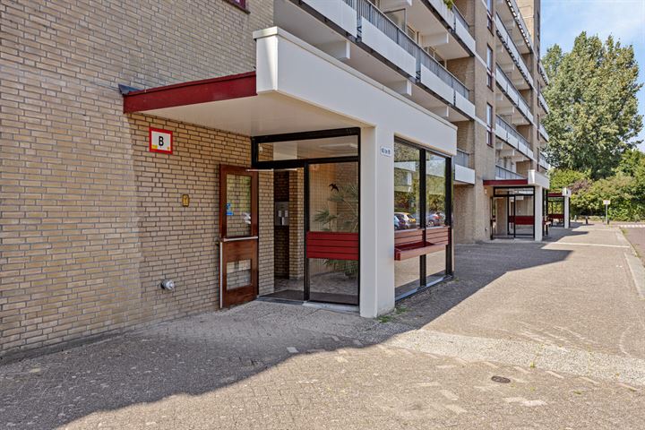 Bekijk foto 3 van Rietbergstraat 151