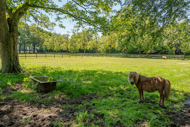 Bekijk foto 7 van Priesterinkdijk 10