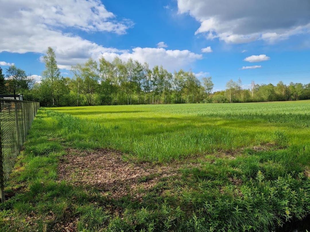 Photo 11 of Apeldoornsestraat