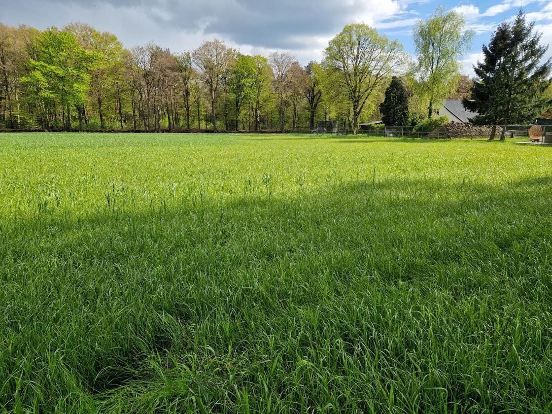 Photo 12 of Apeldoornsestraat