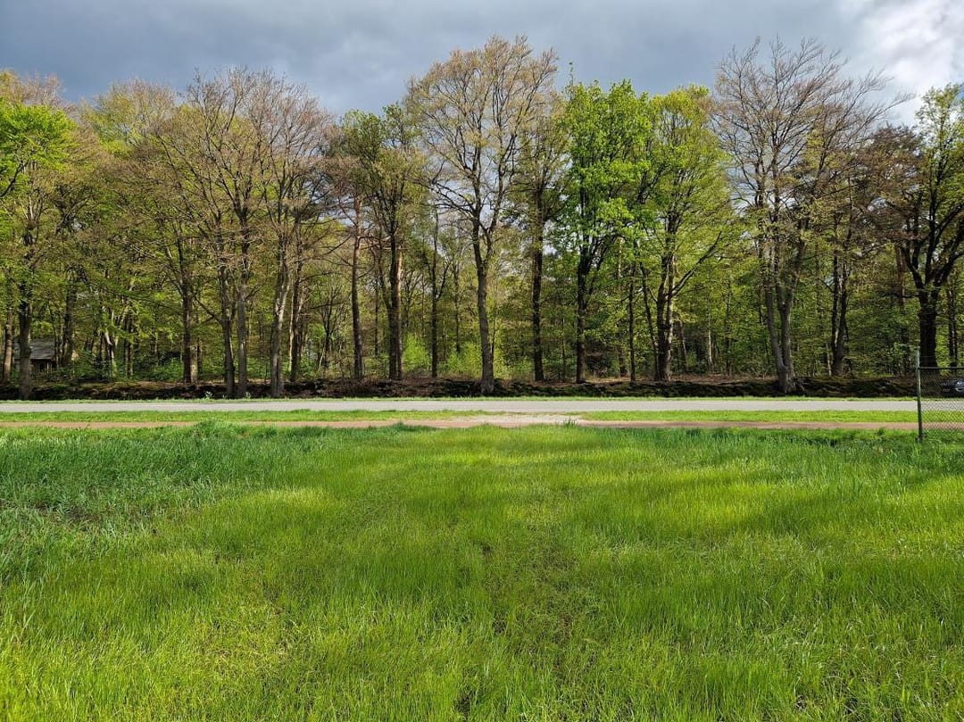 Photo 13 of Apeldoornsestraat