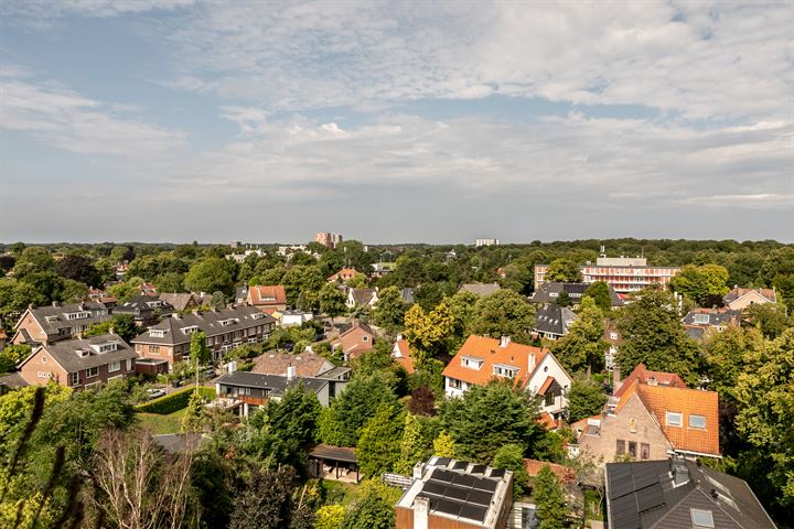 Bekijk foto 12 van Prins Mauritslaan 2-0083