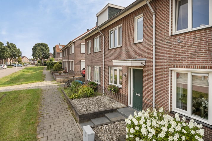 undefined main image