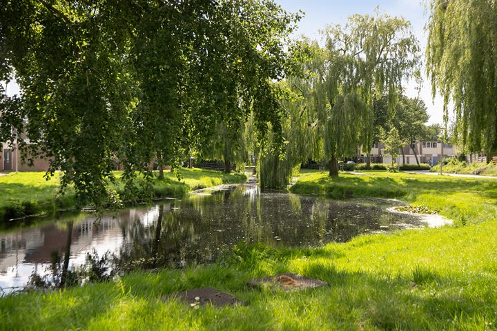 Bekijk foto 34 van Van Drielstlaan 73