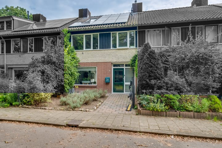 undefined main image