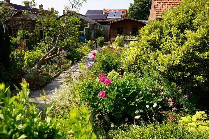 Foto 31 van Lange Heerenstraat 37