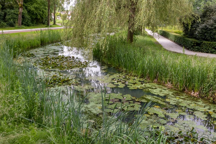 Bekijk foto 40 van Zeisveld 56