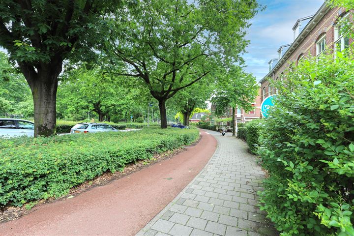 View photo 37 of van Somerenstraat 12