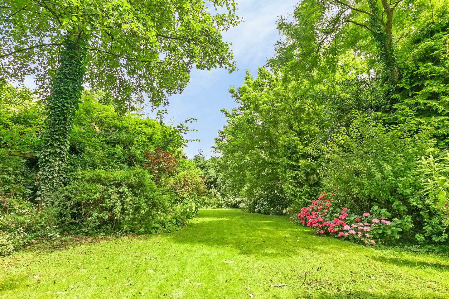 Foto 64 van Hogelandstraat 2