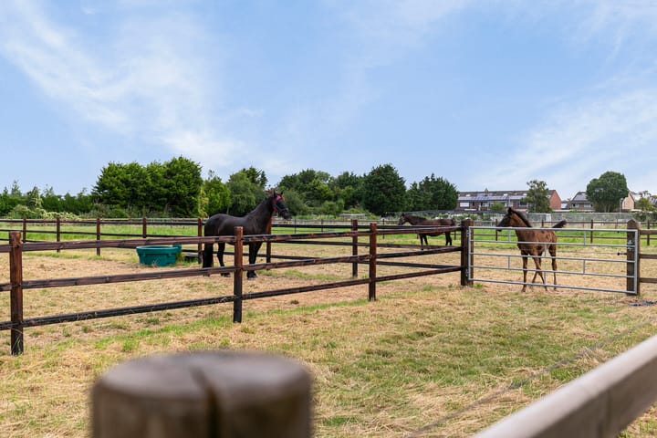 Foto 5 van Jan Geertsesweg 2