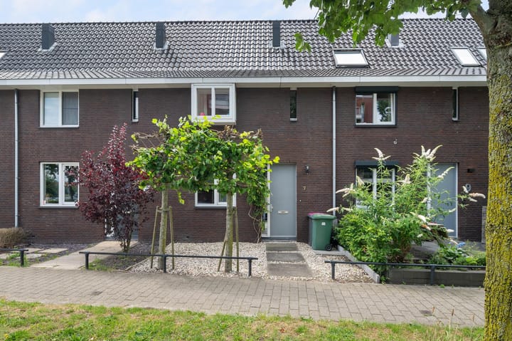 undefined main image