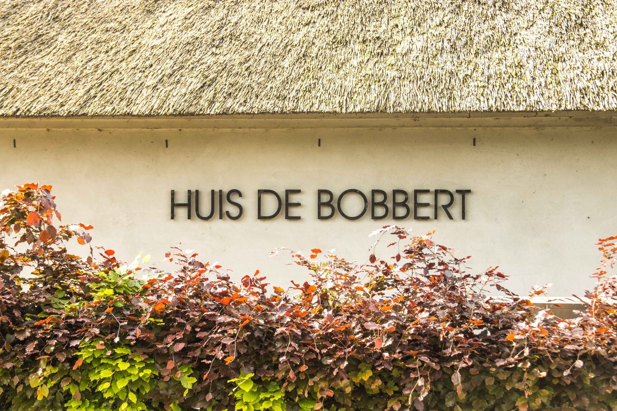 Foto 3 van Scharenburgsestraat 11