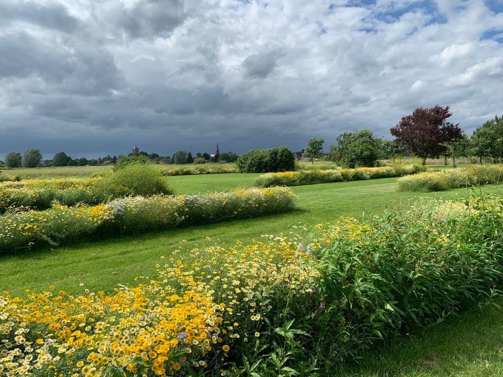 Foto 63 van Scharenburgsestraat 11