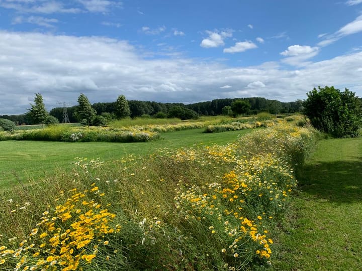 Foto 69 van Scharenburgsestraat 11