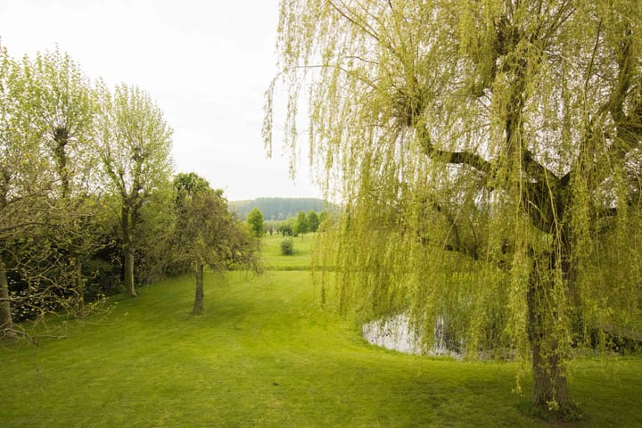 Foto 77 van Scharenburgsestraat 11