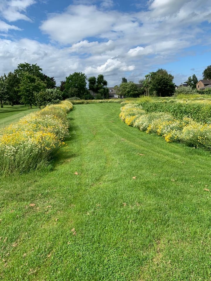 Foto 82 van Scharenburgsestraat 11