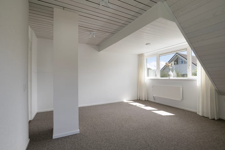 Foto 34 van Lijster 32