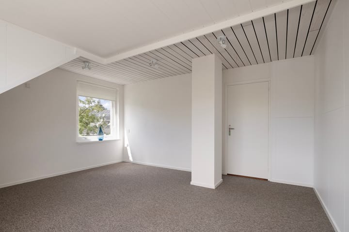 Foto 35 van Lijster 32