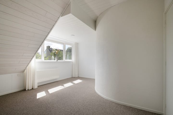 Foto 38 van Lijster 32