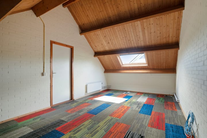 Foto 40 van Lijster 32