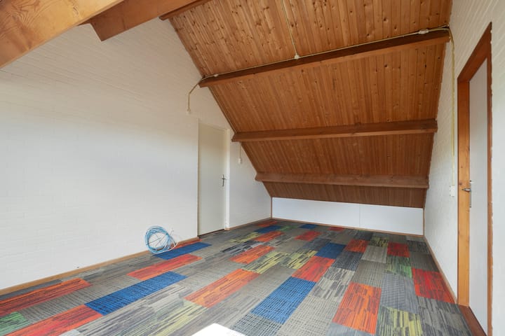 Foto 41 van Lijster 32