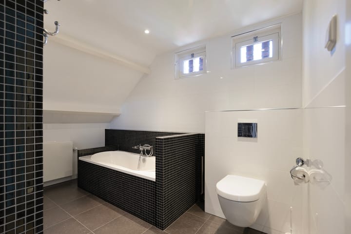 Foto 42 van Lijster 32