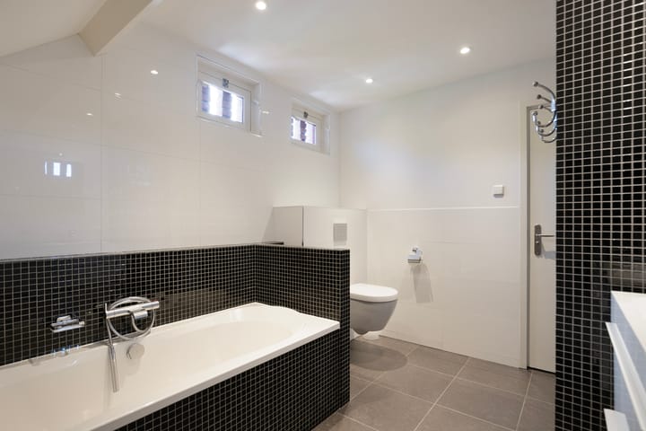 Foto 43 van Lijster 32