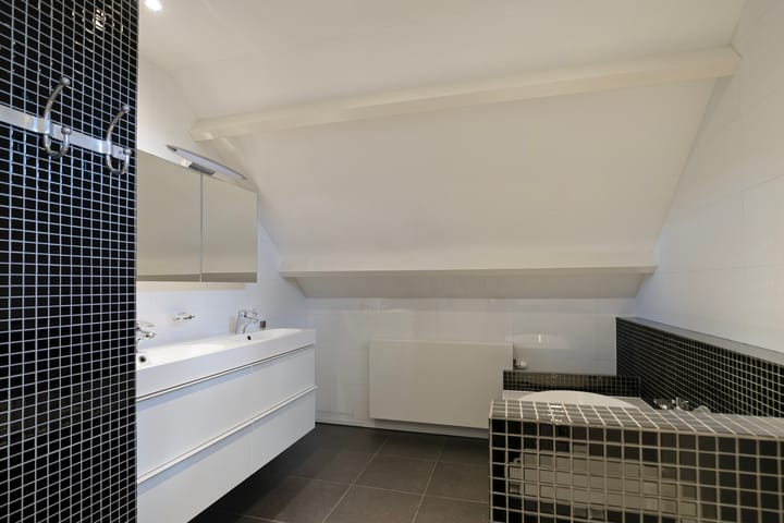 Foto 45 van Lijster 32