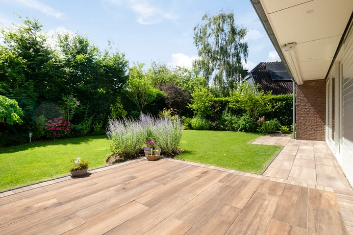 Foto 46 van Lijster 32