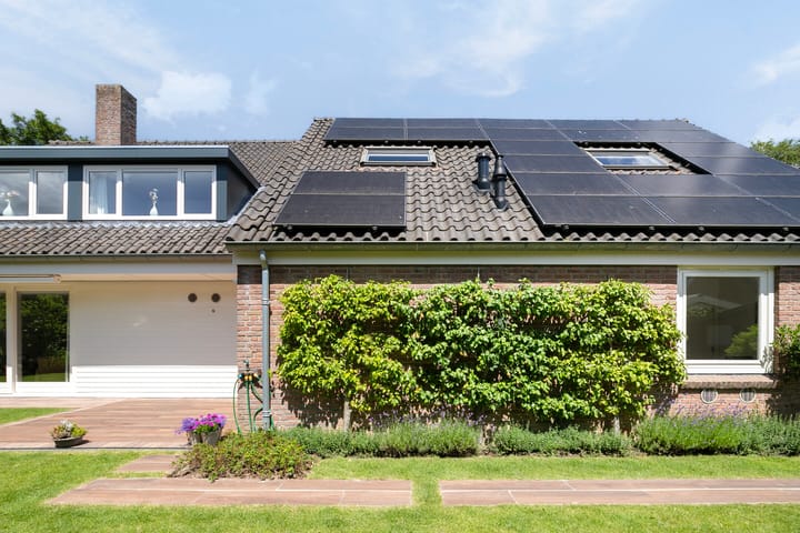 Foto 49 van Lijster 32