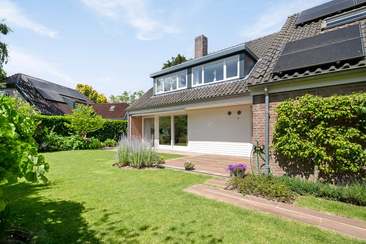 Foto 50 van Lijster 32