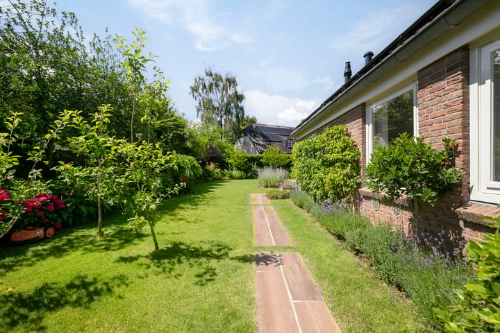 Foto 52 van Lijster 32