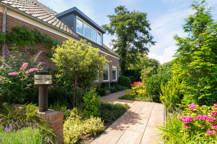 Foto 53 van Lijster 32