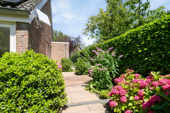 Foto 54 van Lijster 32