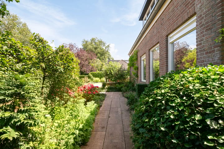 Foto 55 van Lijster 32