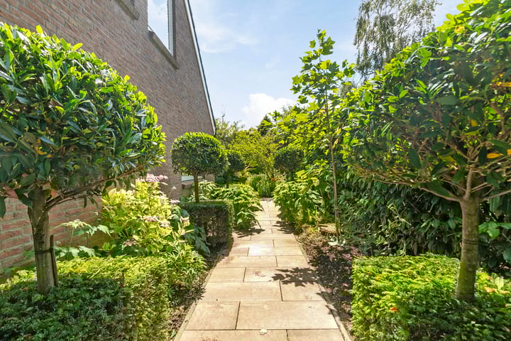 Foto 56 van Lijster 32