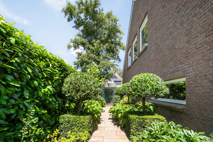 Foto 57 van Lijster 32