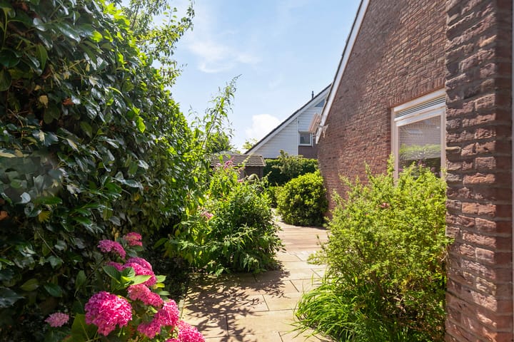 Foto 58 van Lijster 32