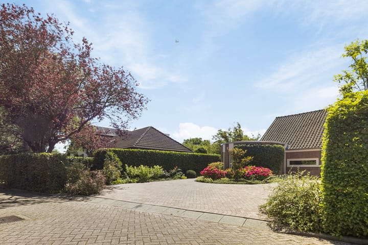 Foto 60 van Lijster 32