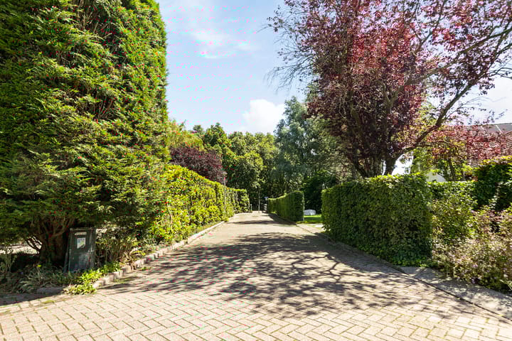 Foto 61 van Lijster 32