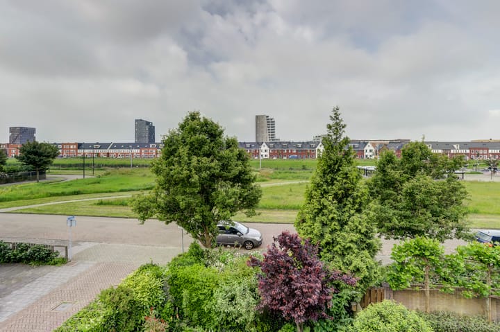 Photo 35 of Logger 8