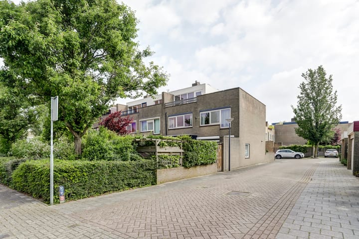 Photo 40 of Logger 8