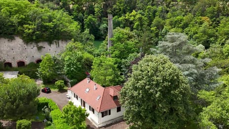 undefined main image