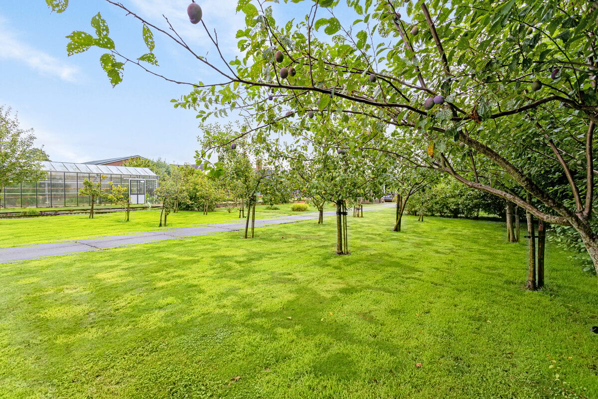 Foto 44 van Reijerskoop 120